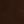 Kamelie - Dark Brown - image 5